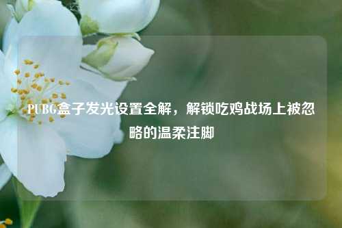 PUBG盒子发光设置全解，解锁吃鸡战场上被忽略的温柔注脚