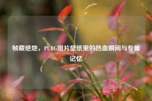 帧藏绝地，PUBG图片壁纸里的热血瞬间与专属记忆