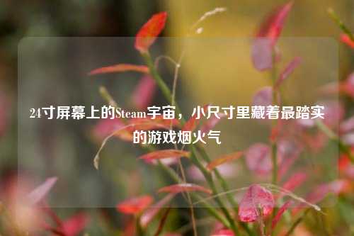 24寸屏幕上的Steam宇宙，小尺寸里藏着最踏实的游戏烟火气