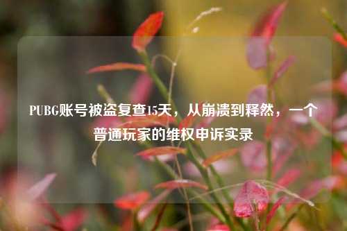 PUBG账号被盗复查15天，从崩溃到释然，一个普通玩家的维权申诉实录