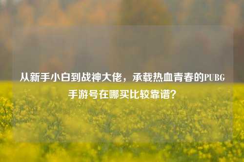 从新手小白到战神大佬，承载热血青春的PUBG手游号在哪买比较靠谱？