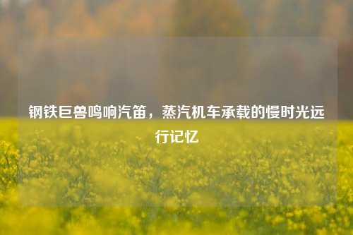 钢铁巨兽鸣响汽笛，蒸汽机车承载的慢时光远行记忆