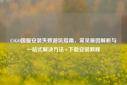 CSGO国服安装失败避坑指南，常见原因解析与一站式解决方法+下载安装教程