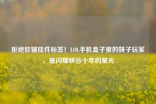 拒绝软辅挂件标签！LOL手机盒子里的妹子玩家，是闪耀峡谷十年的星光