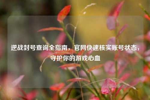 逆战封号查询全指南，官网快速核实账号状态，守护你的游戏心血