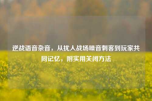 逆战语音杂音,从扰人战场噪音刺客到玩家共同记忆,附实用关闭方法