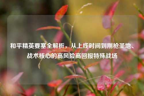 和平精英要塞全解析,从上线时间到刚枪圣地、战术核心的高风险高回报特殊战场
