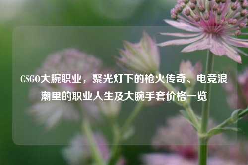 CSGO大腕职业,聚光灯下的枪火传奇、电竞浪潮里的职业人生及大腕手套价格一览