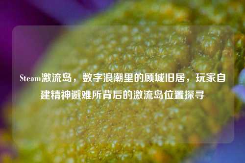 Steam激流岛,数字浪潮里的顾城旧居,玩家自建精神避难所背后的激流岛位置探寻