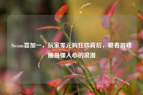Steam喜加一,玩家零元购狂欢背后,藏着游戏圈最懂人心的浪漫