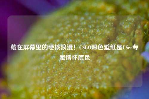 藏在屏幕里的硬核浪漫!CSGO深色壁纸是CSer专属情怀底色