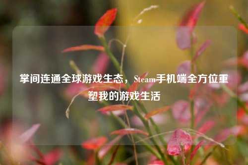 掌间连通全球游戏生态,Steam手机端全方位重塑我的游戏生活