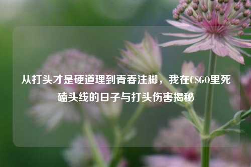 从打头才是硬道理到青春注脚,我在CSGO里死磕头线的日子与打头伤害揭秘