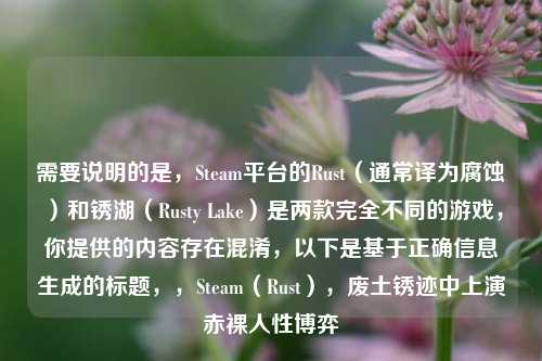 需要说明的是,Steam平台的Rust(通常译为腐蚀)和锈湖(Rusty Lake)是两款完全不同的游戏,你提供的内容存在混淆,以下是基于正确信息生成的标题,,Steam(Rust),废土锈迹中上演赤裸人性博弈