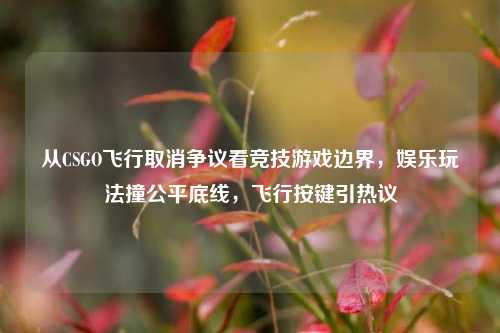 从CSGO飞行取消争议看竞技游戏边界,娱乐玩法撞公平底线,飞行按键引热议