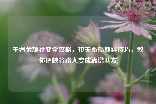 王者荣耀社交全攻略,拉关系攒羁绊技巧,教你把峡谷路人变成靠谱队友