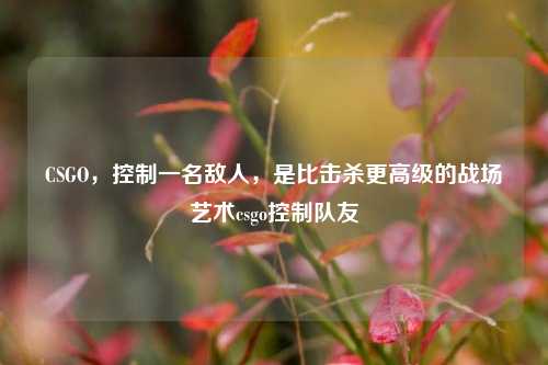 CSGO,控制一名敌人,是比击杀更高级的战场艺术csgo控制队友