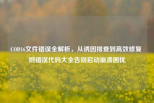 COD16文件错误全解析,从诱因排查到高效修复 附错误代码大全告别启动崩溃困扰