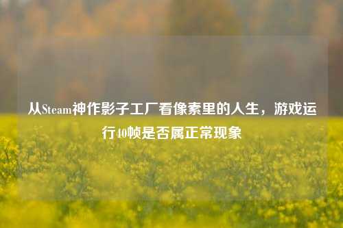 从Steam神作影子工厂看像素里的人生,游戏运行40帧是否属正常现象