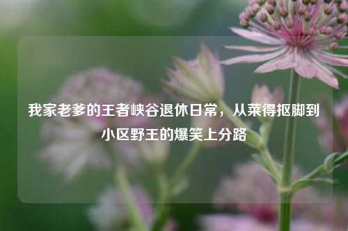 我家老爹的王者峡谷退休日常,从菜得抠脚到小区野王的爆笑上分路