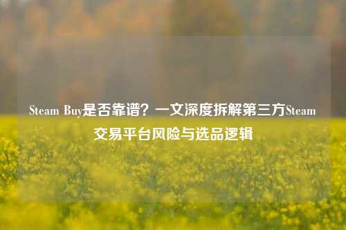 Steam Buy是否靠谱?一文深度拆解第三方Steam交易平台风险与选品逻辑