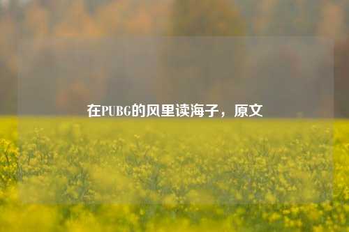 在PUBG的风里读海子,原文