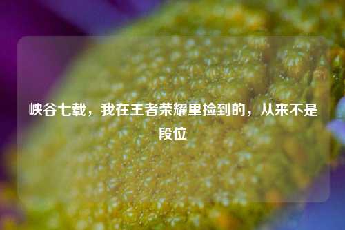 峡谷七载,我在王者荣耀里捡到的,从来不是段位