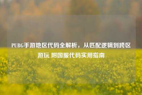 PUBG手游地区代码全解析,从匹配逻辑到跨区游玩 附国服代码实用指南