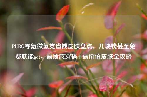 PUBG零氪微氪党省钱皮肤盘点，几块钱甚至免费就能get，高质感穿搭+高价值皮肤全攻略