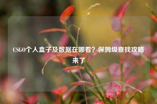 CSGO个人盒子及数据在哪看?保姆级查找攻略来了