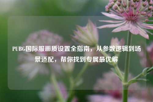 PUBG国际服画质设置全指南,从参数逻辑到场景适配,帮你找到专属最优解