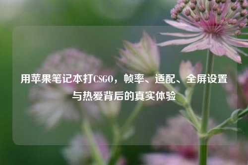 用苹果笔记本打CSGO,帧率、适配、全屏设置与热爱背后的真实体验