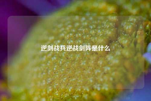逆剑战兵逆战剑阵是什么