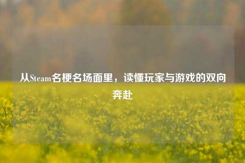 从Steam名梗名场面里，读懂玩家与游戏的双向奔赴