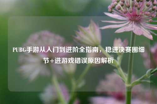 PUBG手游从入门到进阶全指南,稳进决赛圈细节+进游戏错误原因解析