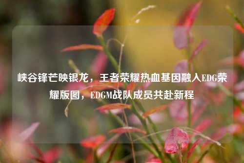 峡谷锋芒映银龙,王者荣耀热血基因融入EDG荣耀版图,EDGM战队成员共赴新程