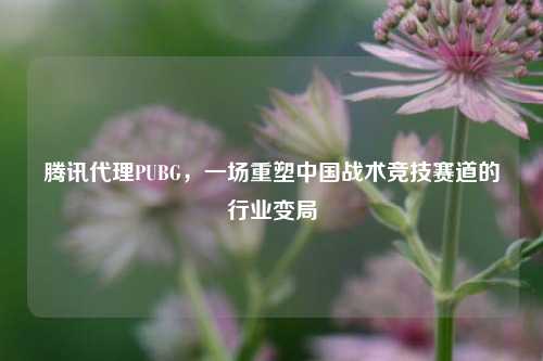 腾讯代理PUBG,一场重塑中国战术竞技赛道的行业变局