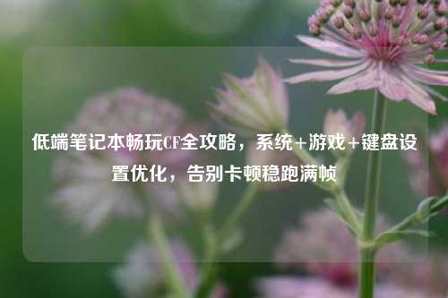 低端笔记本畅玩CF全攻略,系统+游戏+键盘设置优化,告别卡顿稳跑满帧
