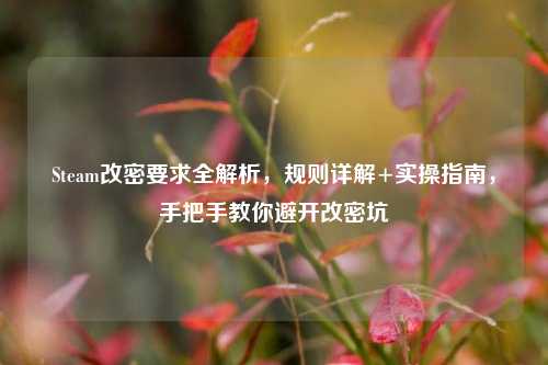 Steam改密要求全解析,规则详解+实操指南,手把手教你避开改密坑