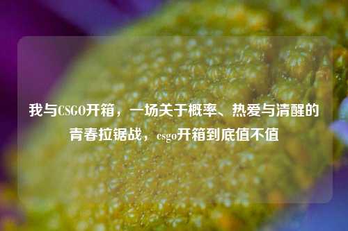我与CSGO开箱,一场关于概率、热爱与清醒的青春拉锯战,csgo开箱到底值不值