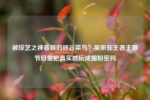被综艺之神眷顾的峡谷菜鸟?吴昕在王者主题节目里把真实感玩成圈粉密码
