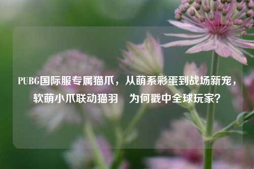PUBG国际服专属猫爪,从萌系彩蛋到战场新宠,软萌小爪联动猫羽雫为何戳中全球玩家?