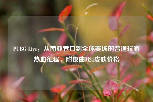 PUBG Liye,从南亚巷口到全球赛场的普通玩家热血征程,附夜曲M24皮肤价格
