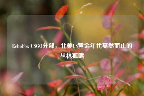 EchoFox CSGO分部,北美CS黄金年代戛然而止的丛林狐啸