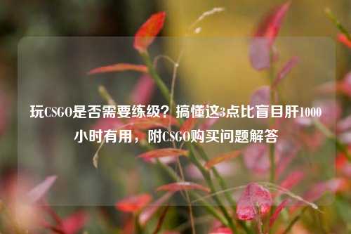 玩CSGO是否需要练级?搞懂这3点比盲目肝1000小时有用,附CSGO购买问题解答