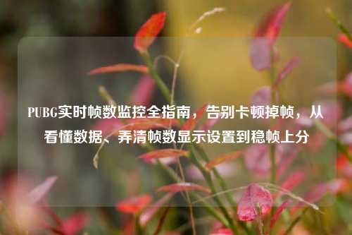 PUBG实时帧数监控全指南,告别卡顿掉帧,从看懂数据、弄清帧数显示设置到稳帧上分