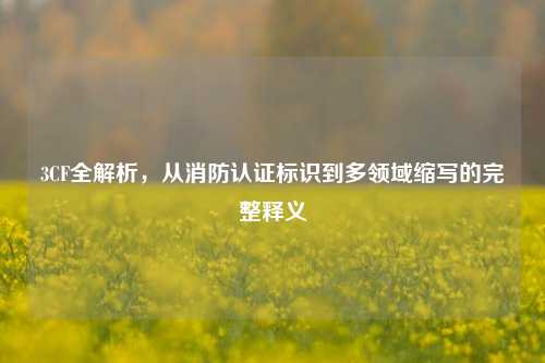 3CF全解析,从消防认证标识到多领域缩写的完整释义