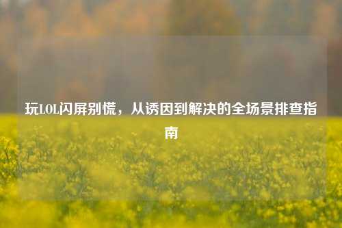 玩LOL闪屏别慌,从诱因到解决的全场景排查指南