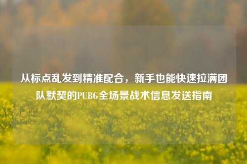 从标点乱发到精准配合,新手也能快速拉满团队默契的PUBG全场景战术信息发送指南
