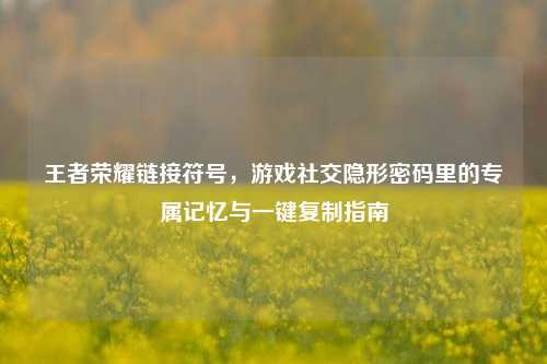 王者荣耀链接符号,游戏社交隐形密码里的专属记忆与一键复制指南